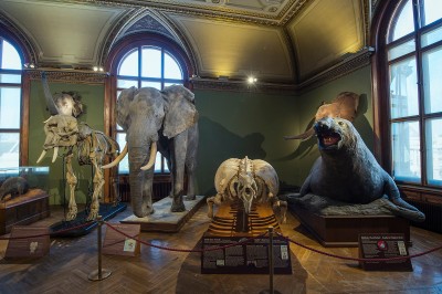 : © NHM Wien, Kurt Kracher